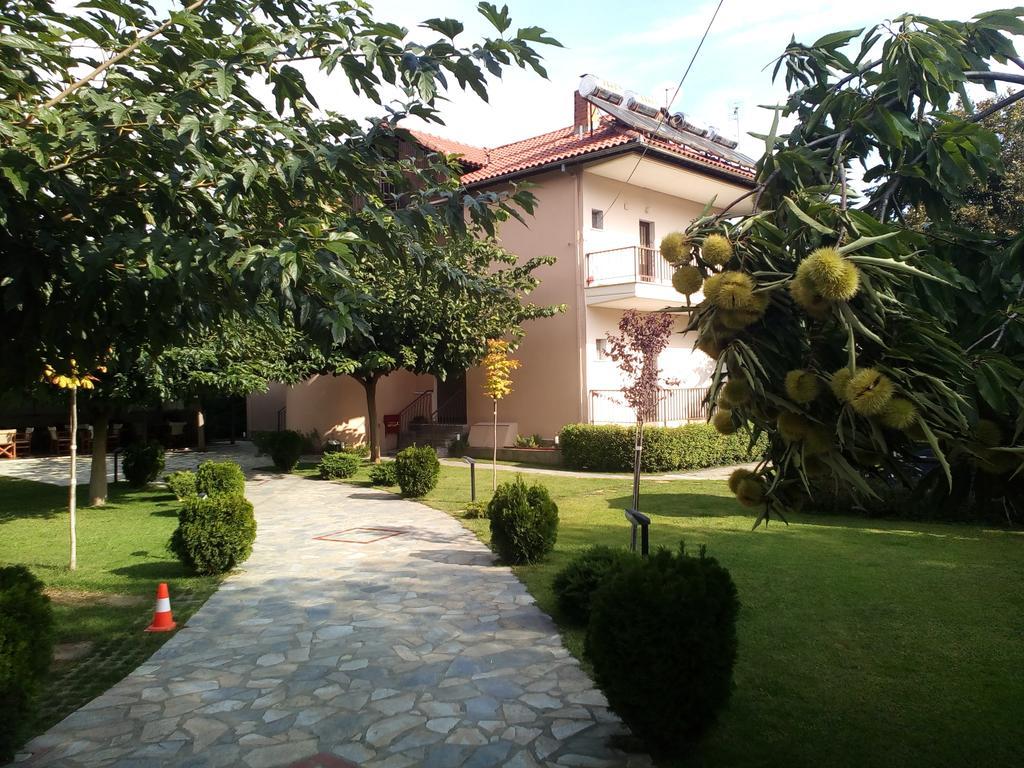 Alisachni Apartment Paralia Panteleimonos Exterior foto